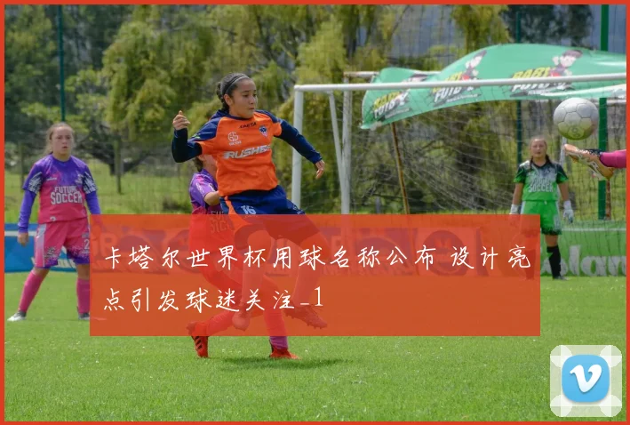 卡塔尔世界杯用球名称公布 设计亮点引发球迷关注_1