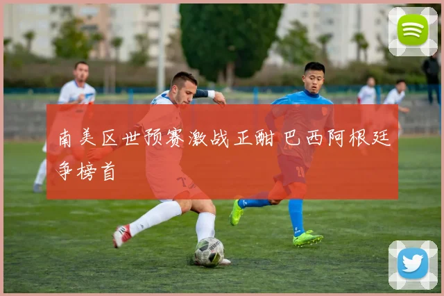 南美区世预赛激战正酣 巴西阿根廷争榜首