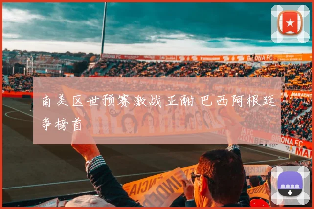 南美区世预赛激战正酣 巴西阿根廷争榜首