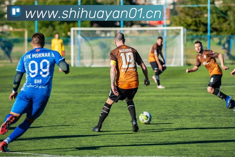 多媒体互动体验